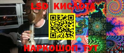 тгк Бердск