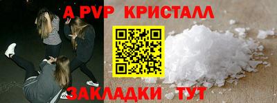 тгк Бердск