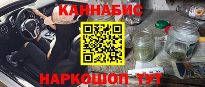 тгк Бердск