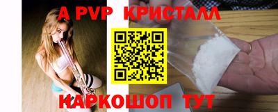 тгк Бердск