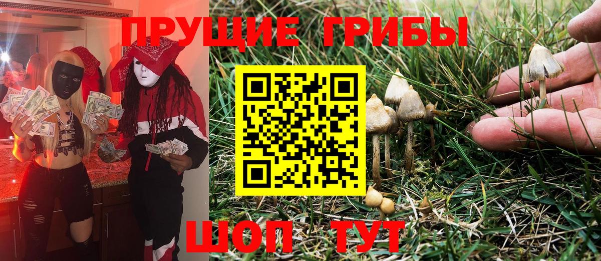 Алушта  Псилоцибиновые грибы мухоморы  Вход с VPN 